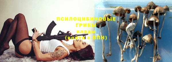 дмт Балабаново