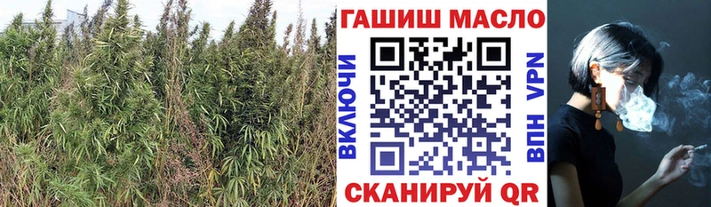 ТГК вейп  купить  цена  Венёв 