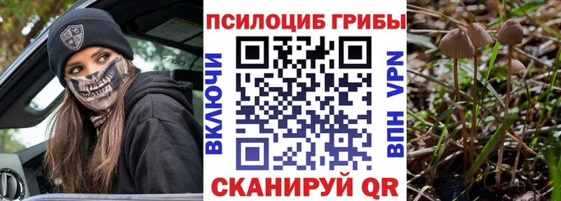 где купить наркоту  Венёв  Галлюциногенные грибы Magic Shrooms 